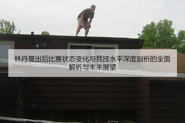 林丹复出后比赛状态变化与竞技水平深度剖析的全面解析与未来展望